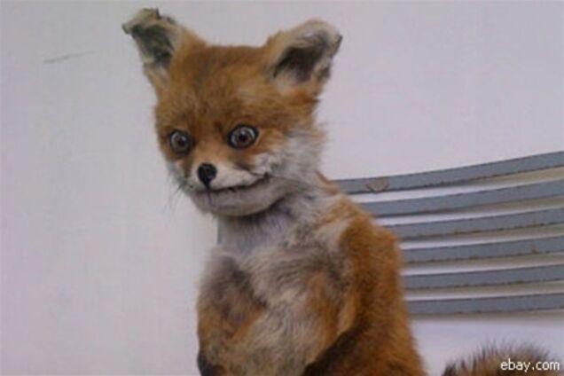 Санкт-Петербургу подарят копию 'Упоротого лиса'