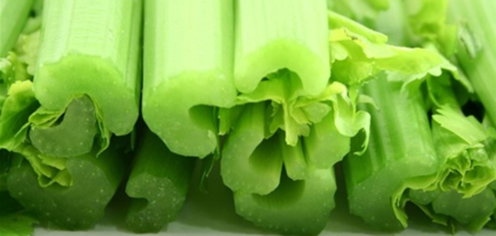 Сельдереевая диета: худеем на 7 кг за 14 дней