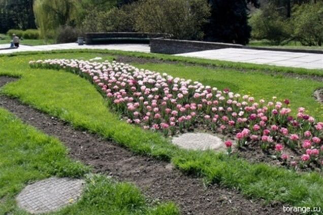 В Крыму жены чиновников получили по миллиону на цветы