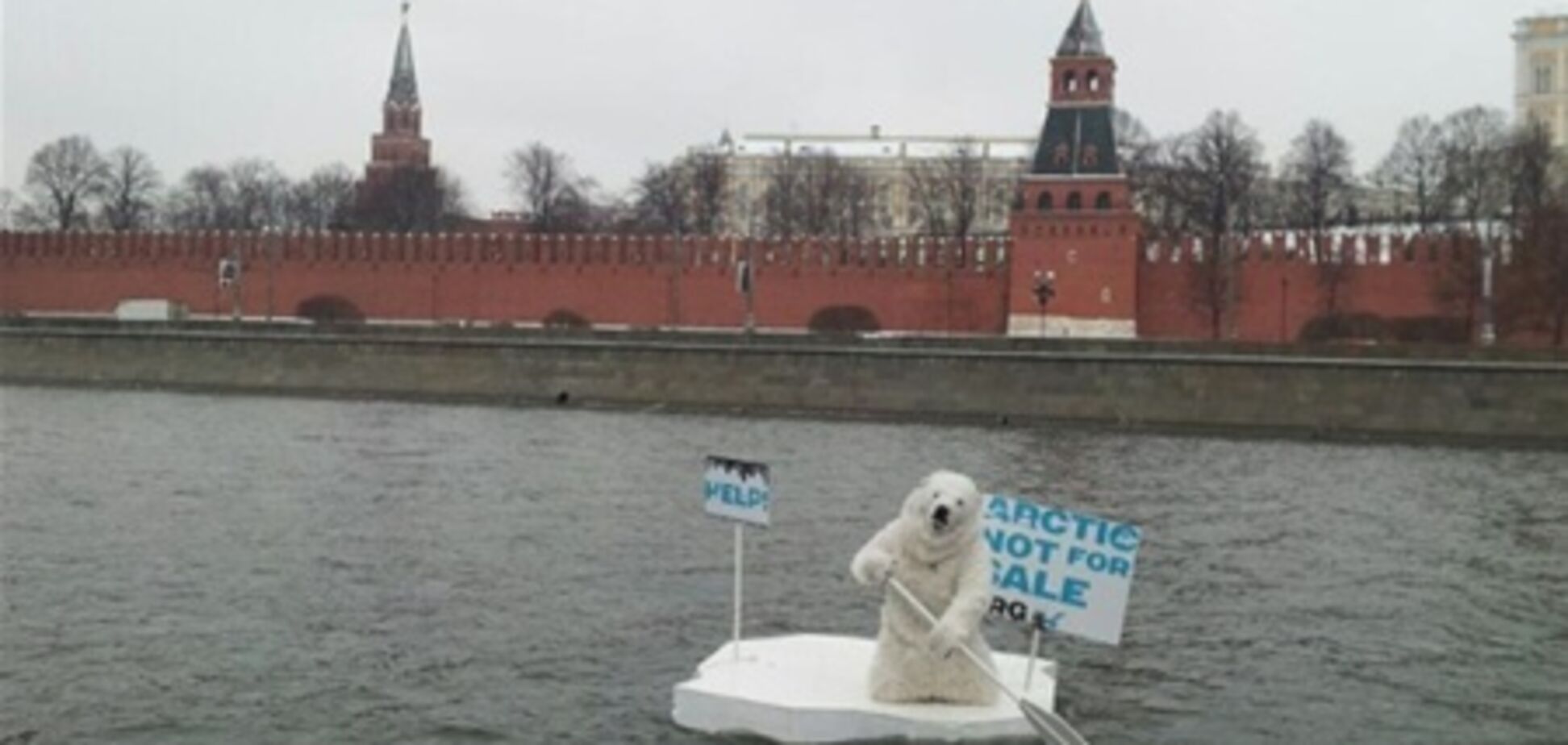 Білий ведмідь доплив до Кремля на захист Арктики