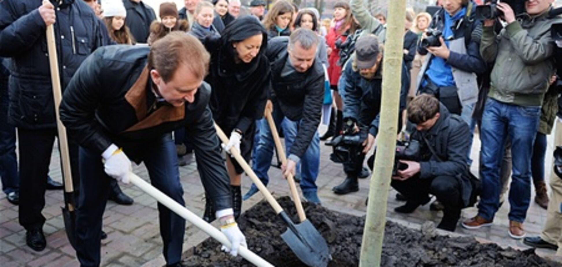 На Хрещатику посаджено нові каштани
