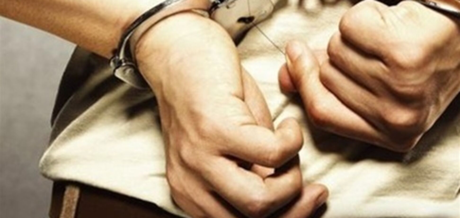 Милиция задержала активистов возле Межигорья