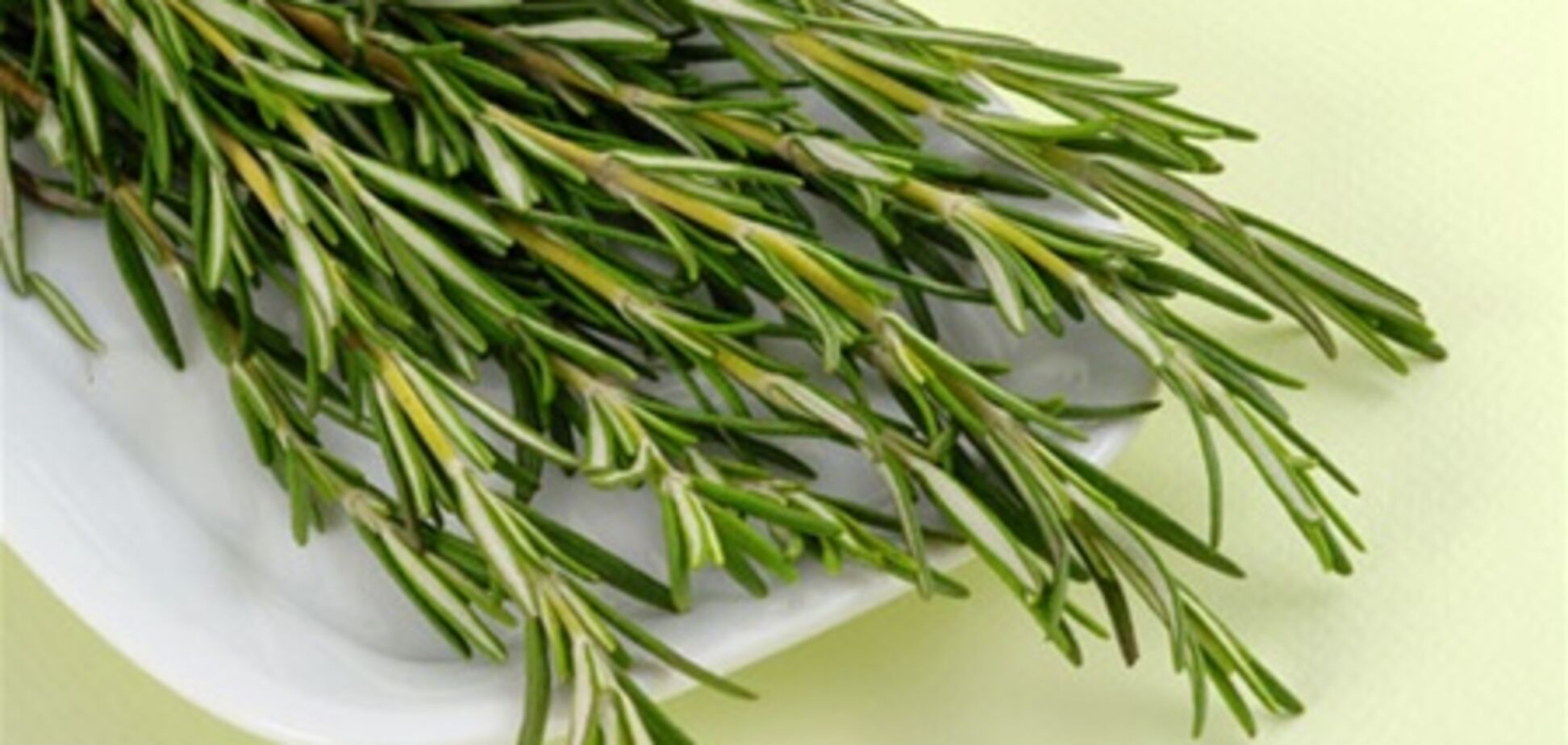 5 продуктов, которые помогут улучшить память ребенка