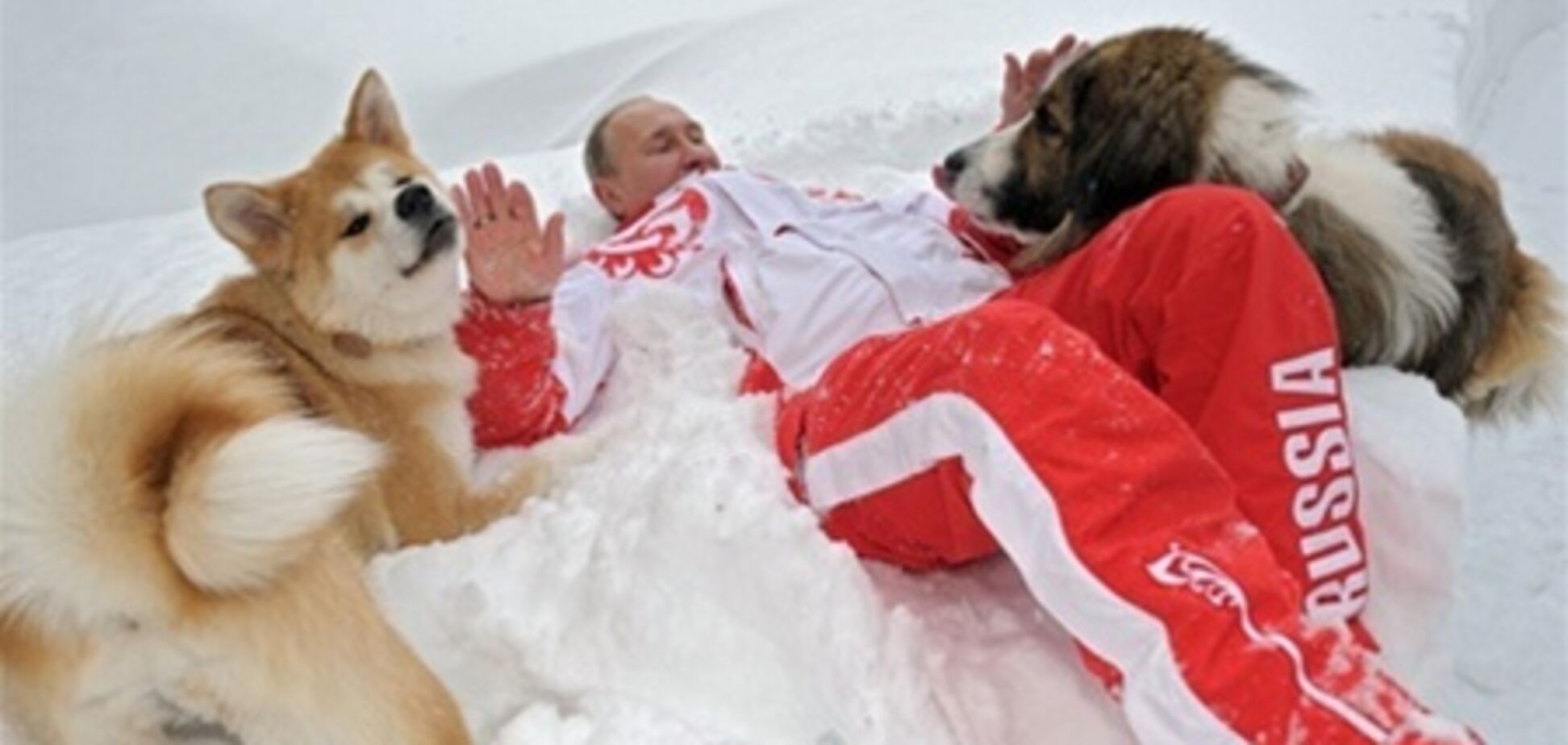 СМИ о фотосессии Путина с собаками: это 'ангел на снегу'
