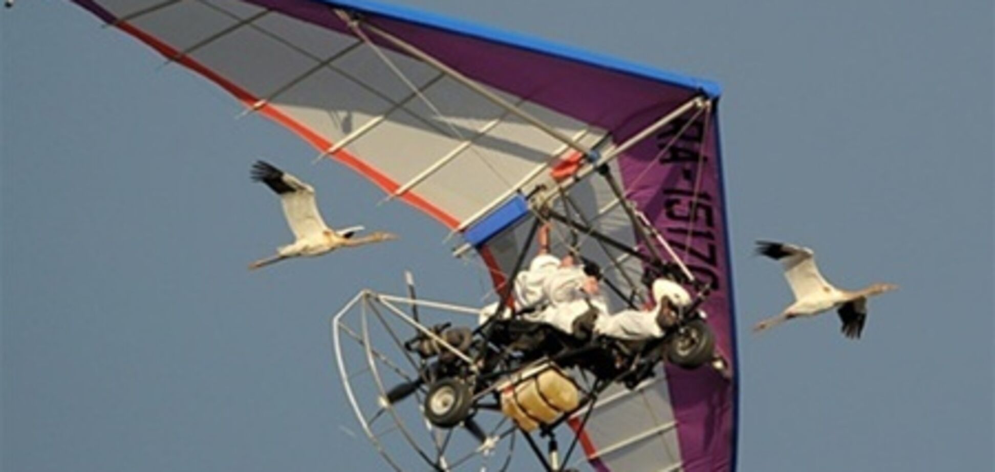 Стерхов Путина не пустили на зимовку в Узбекистан