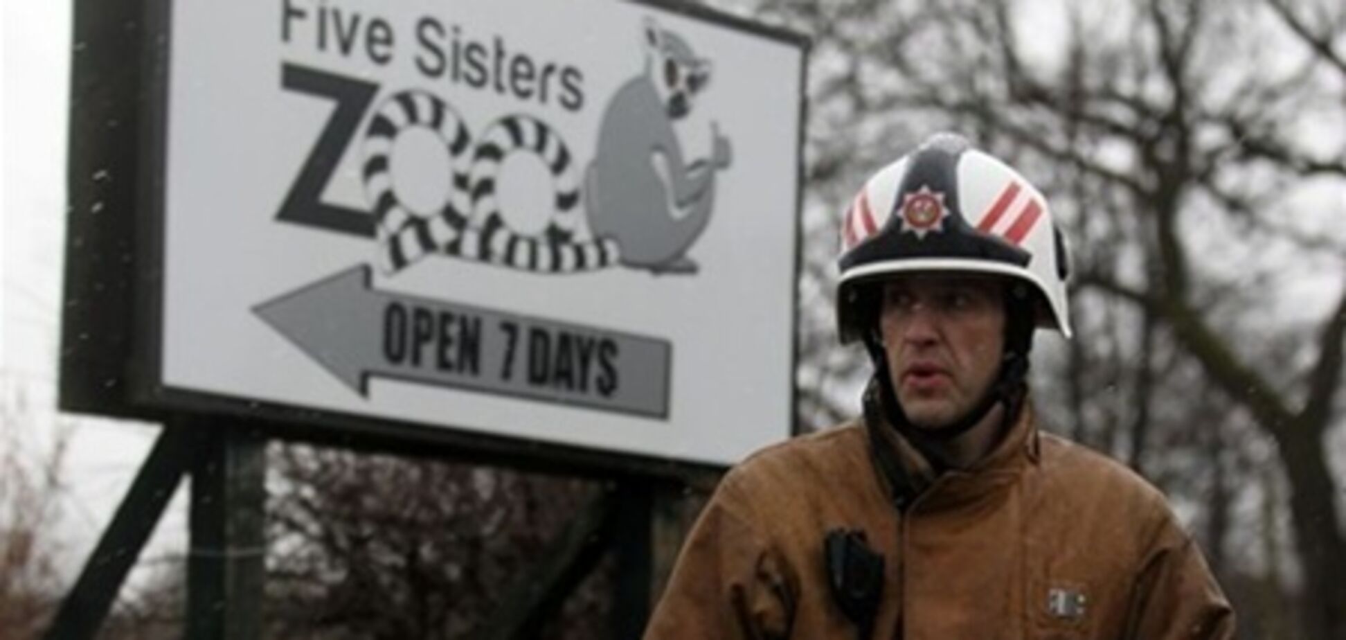 В Шотландии десятки животных погибли при пожаре в зоопарке