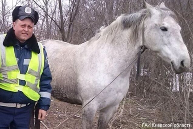 На Київщині даішники затримали конокрадів