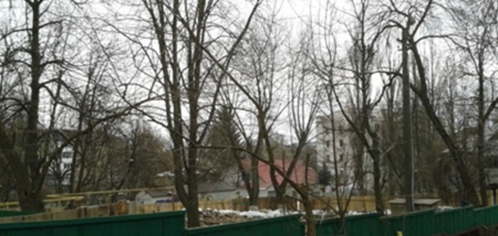 В столице незаконно вырубили 12 тысяч деревьев - ГПУ