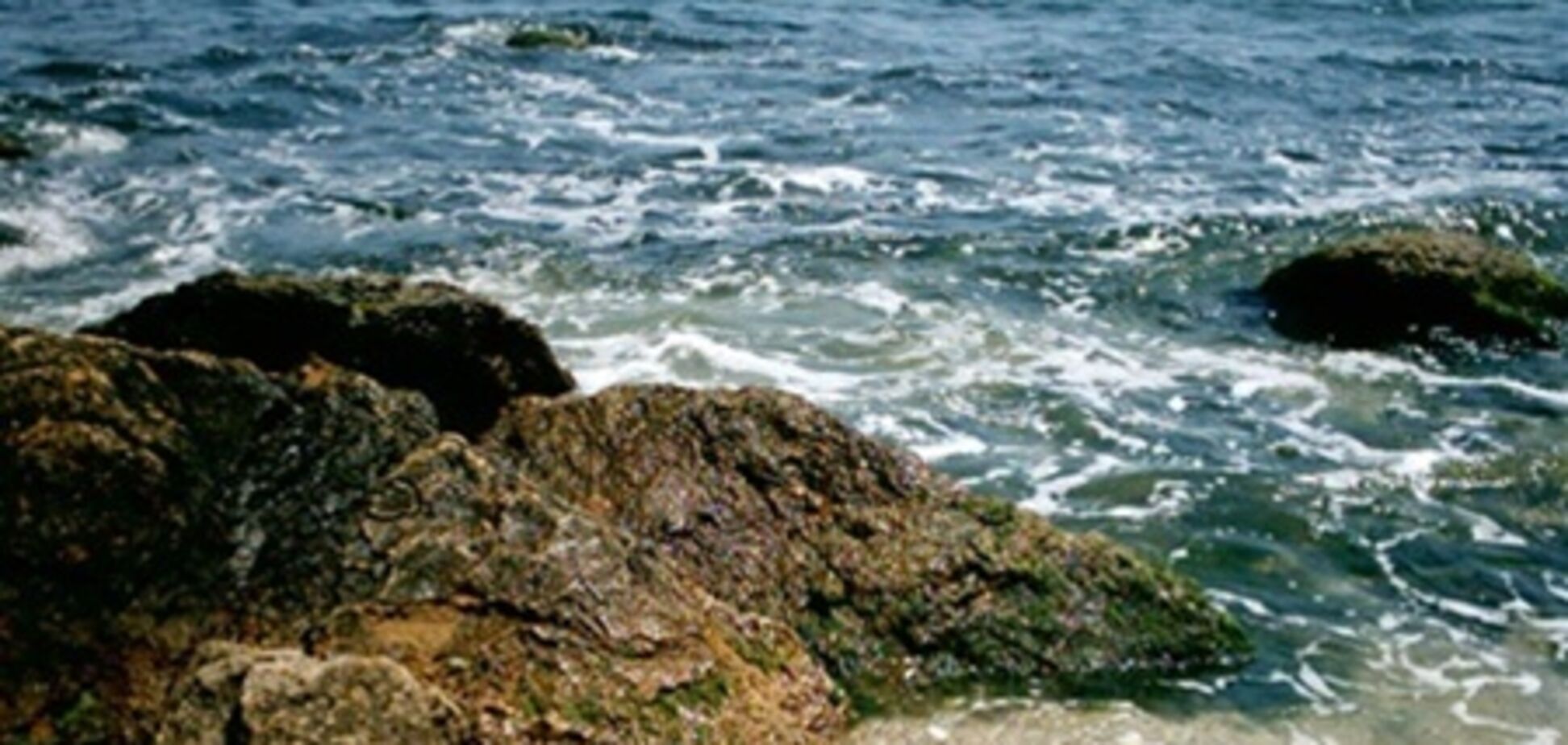 По забрудненню Чорного моря фекаліями порушили справу