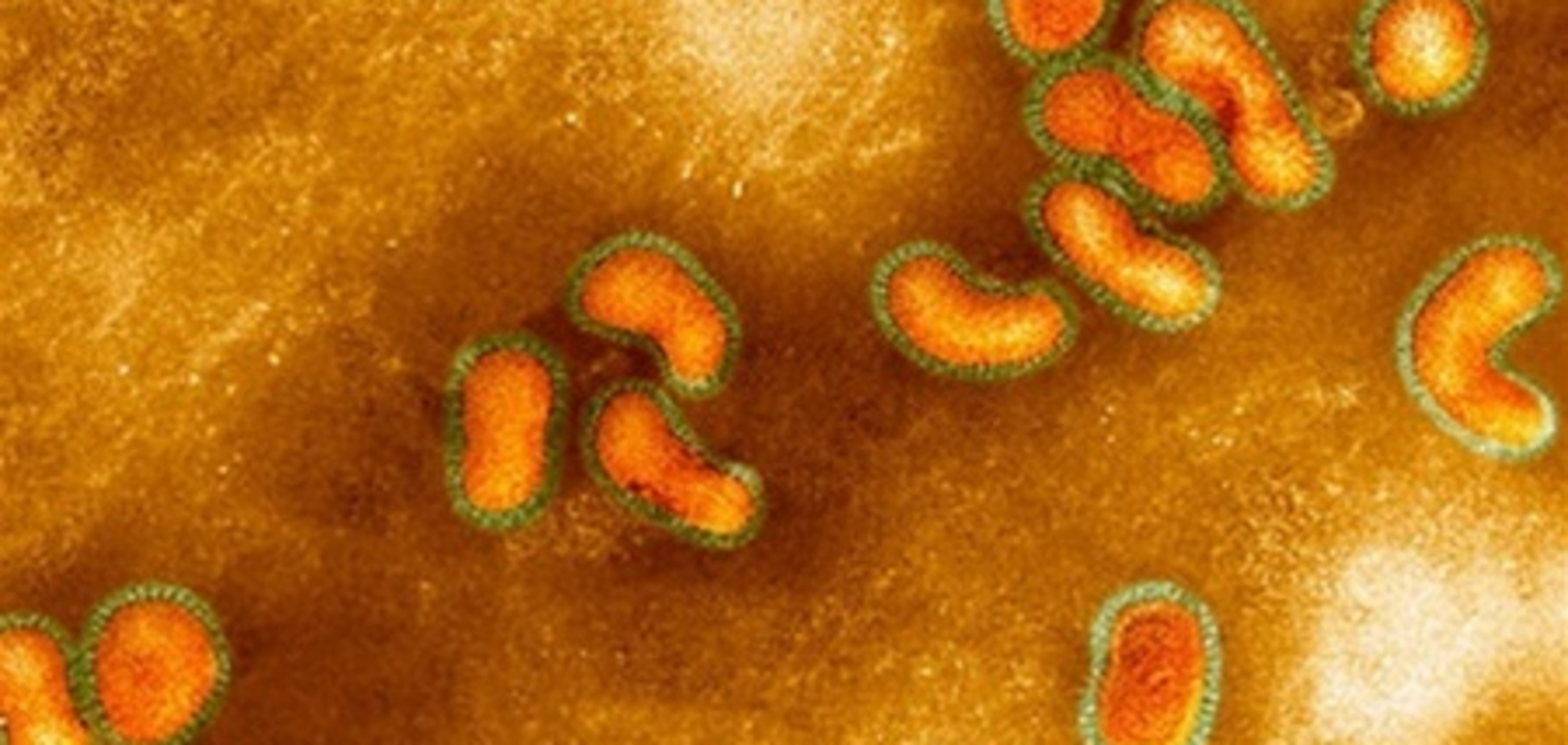 В Китае 77 человек заболели новым птичьим гриппом
