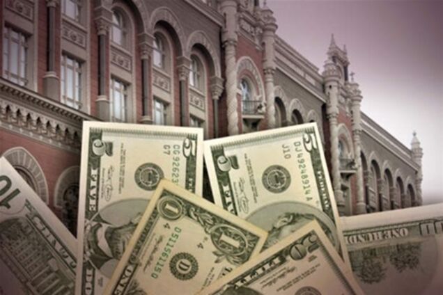 Эксперт считает, что НБУ делает ставку на доллар