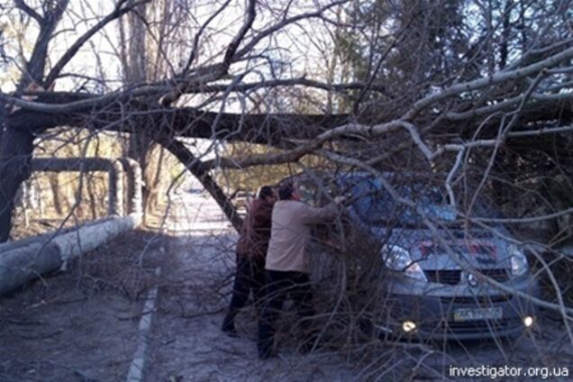 У Криму рятувальники за день 23 рази виїжджали через падіння дерев