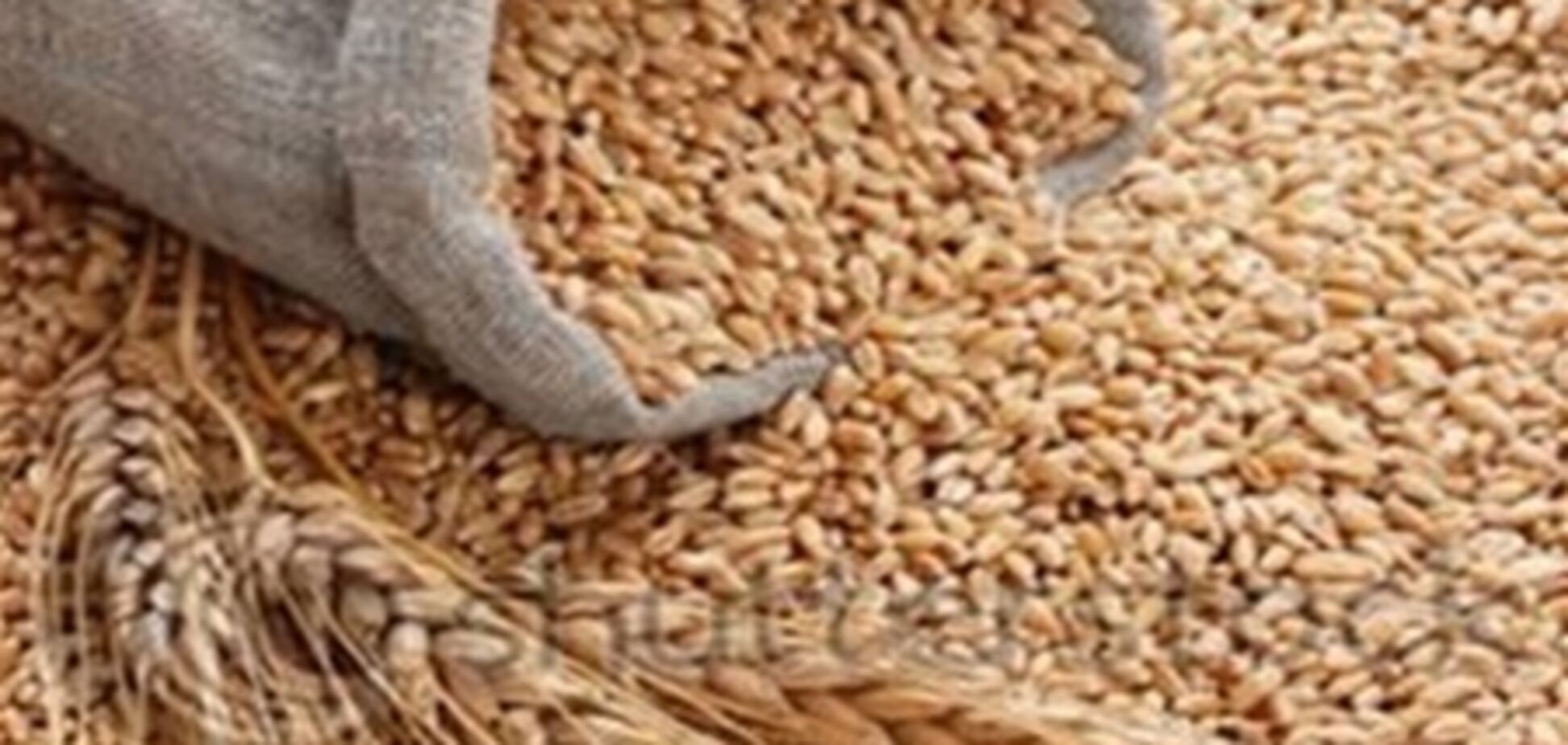 В Черновицкой области милиционер украл 5 тонн зерна