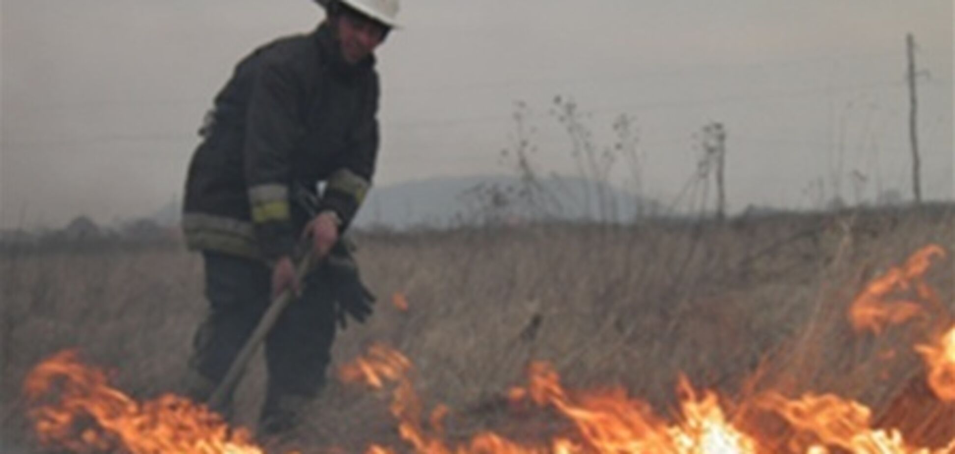 На Закарпатье выгорело 2 га лесного массива