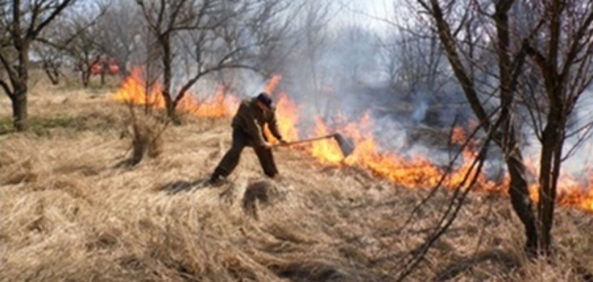 На Киевщине из-за резкого потепления горит трава