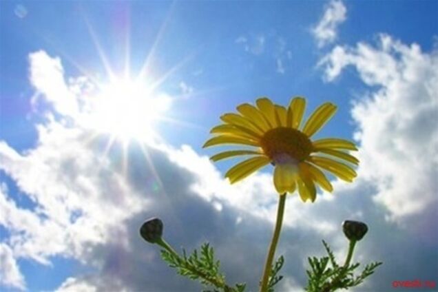 В Украину придет похолодание – Гидрометцентр