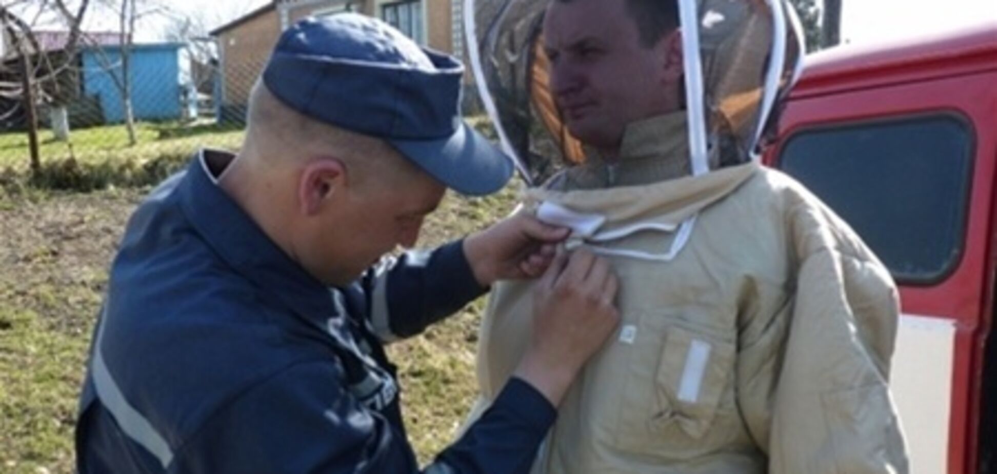 На Рівненщині рятувальники провели спецоперацію проти шершнів