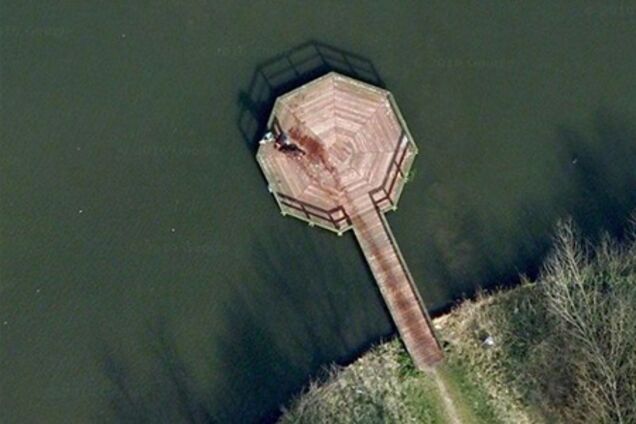 Пользователи Google Maps перепутали труп с мокрой собакой