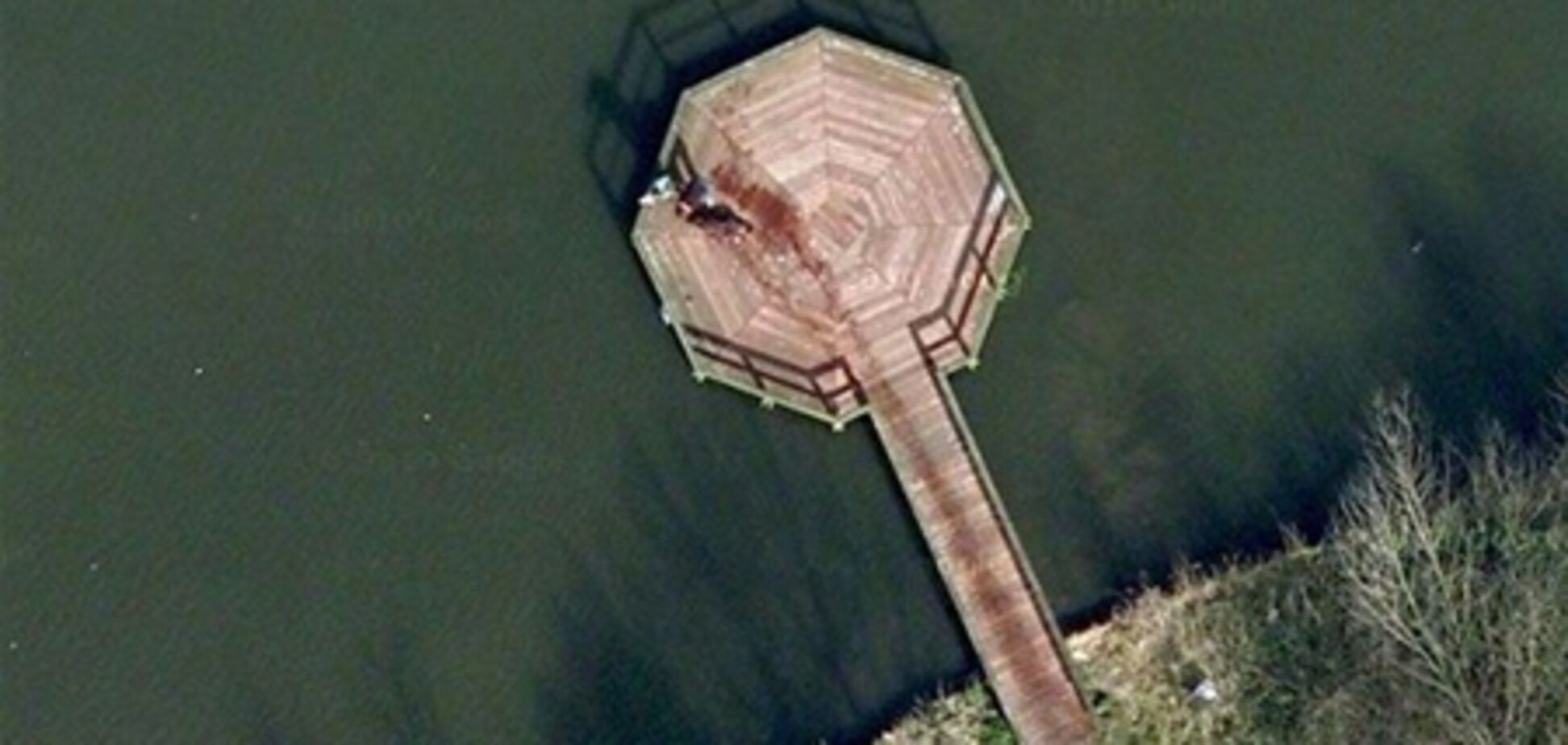 Пользователи Google Maps перепутали труп с мокрой собакой