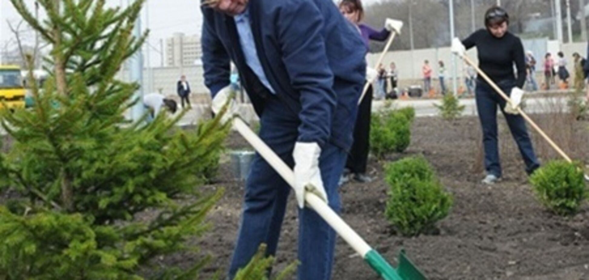 Азаров на субботнике тоже посадил елку