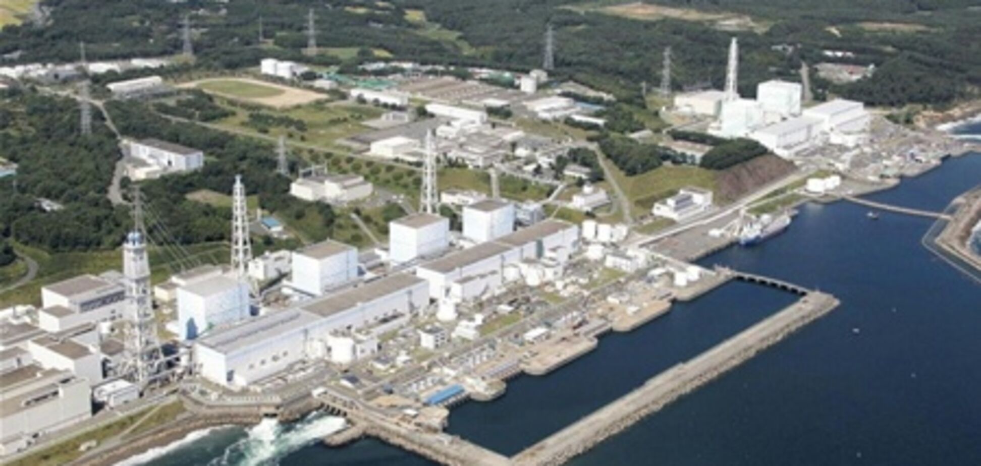 Охолодження на 'Фукусімі-1' припинили через мертвих щурів