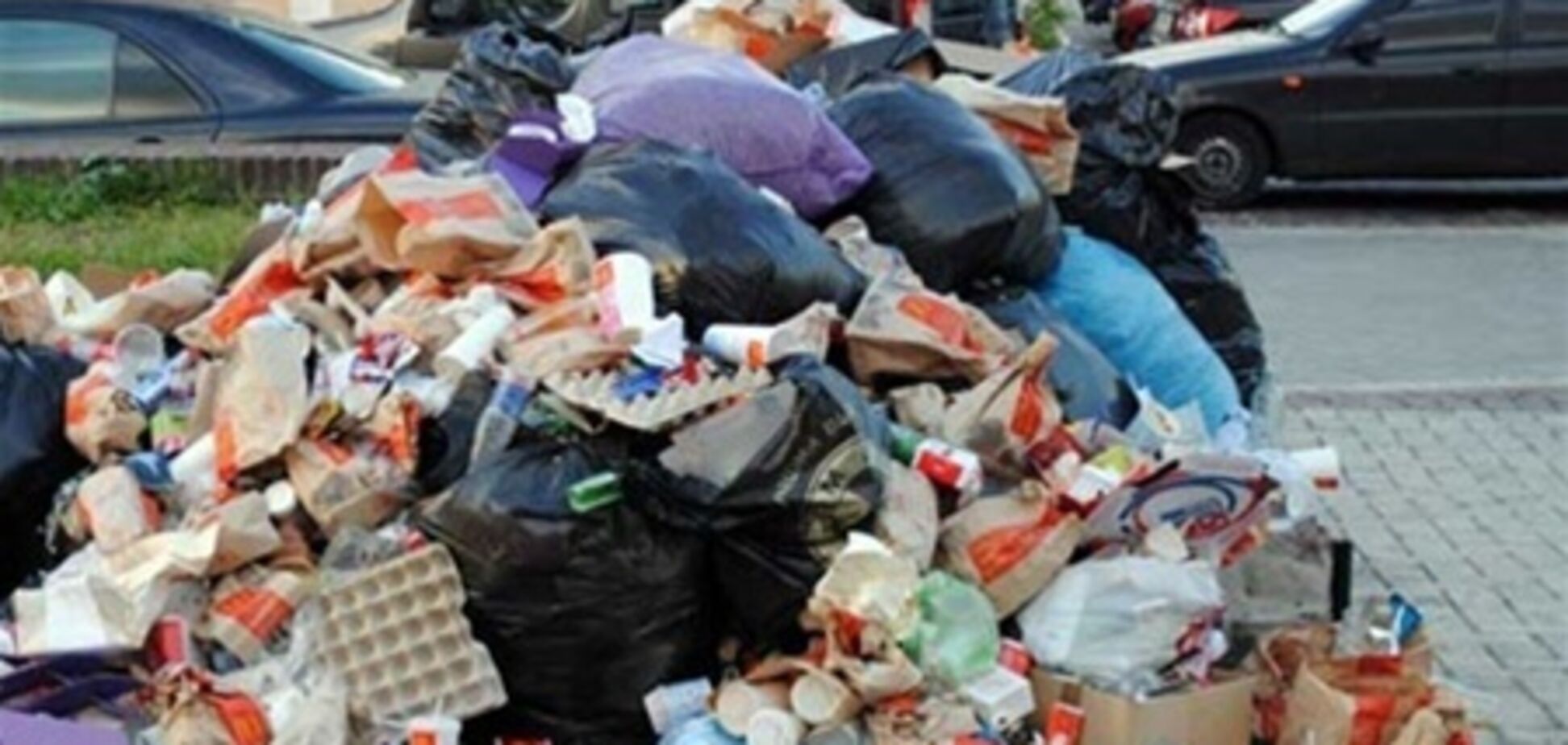 В Раде хотят ввести штрафы за мусор мимо урн