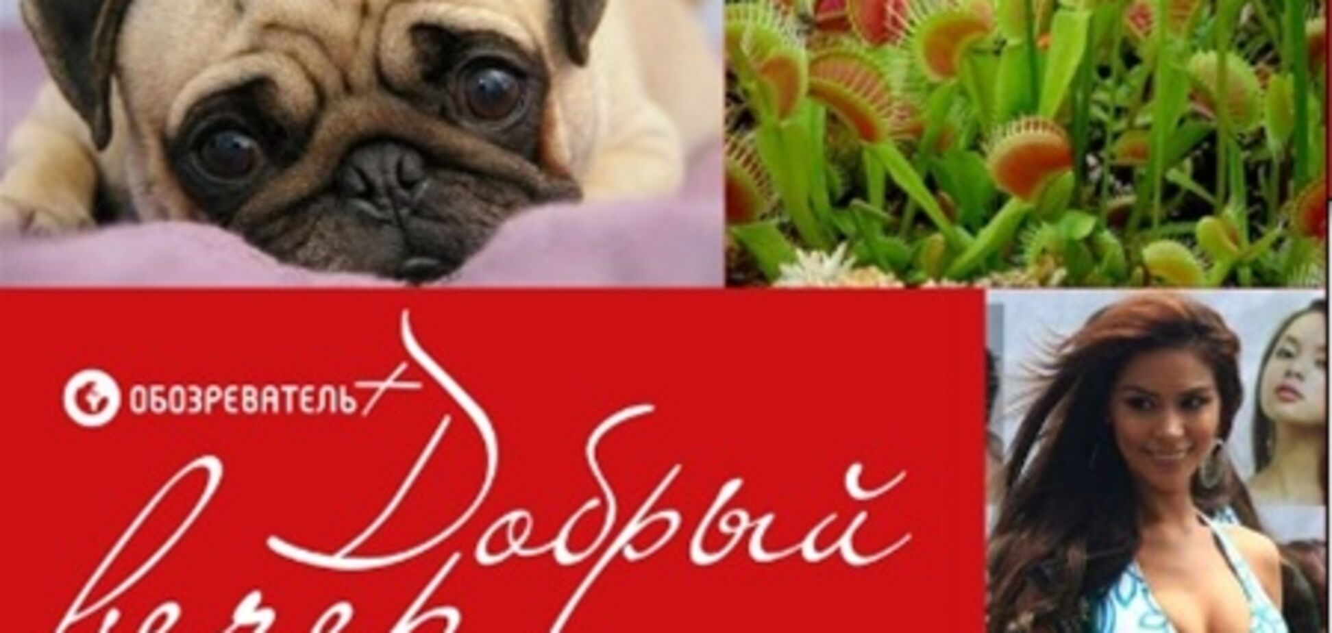 Добрый вечер: в Киеве начнется увлекательная кинонеделя