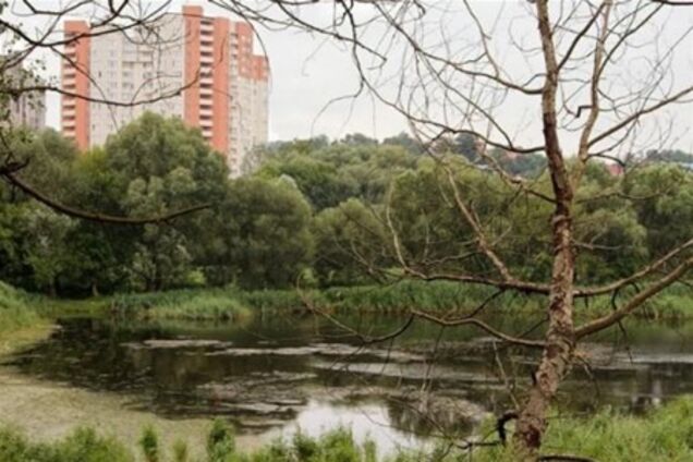 В Соломенском районе Киева незаконно уничтожили деревья