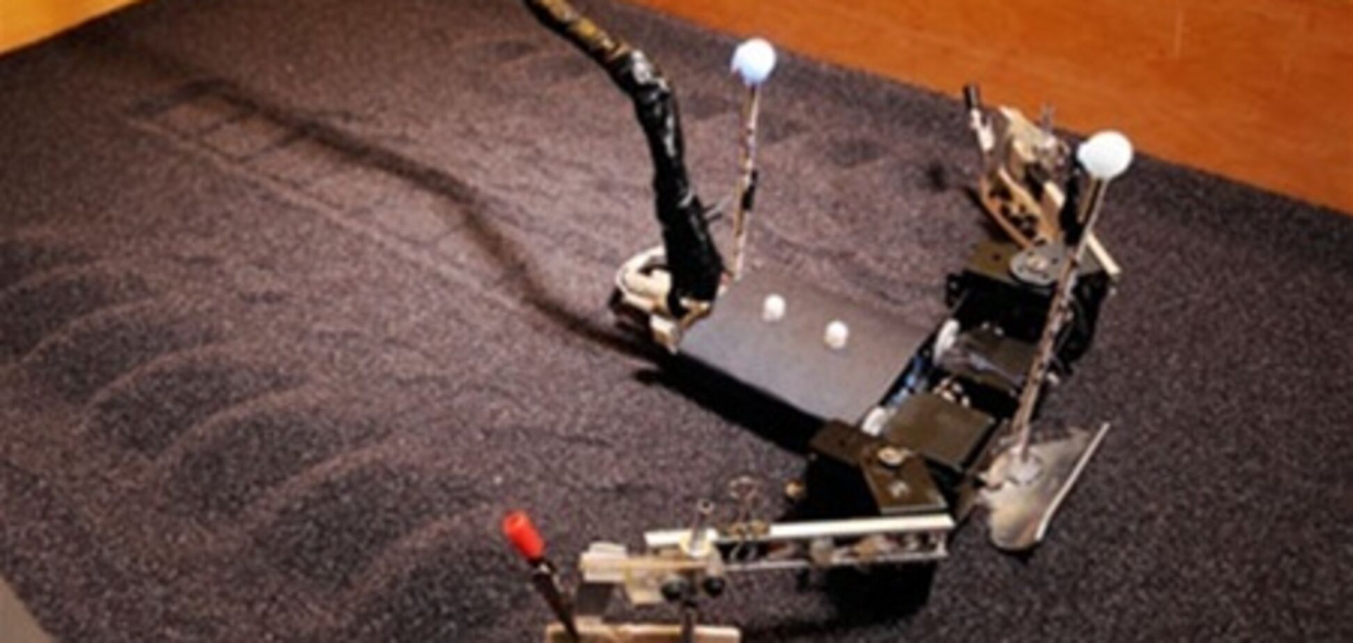 Биомеханики разработали робота-черепашку