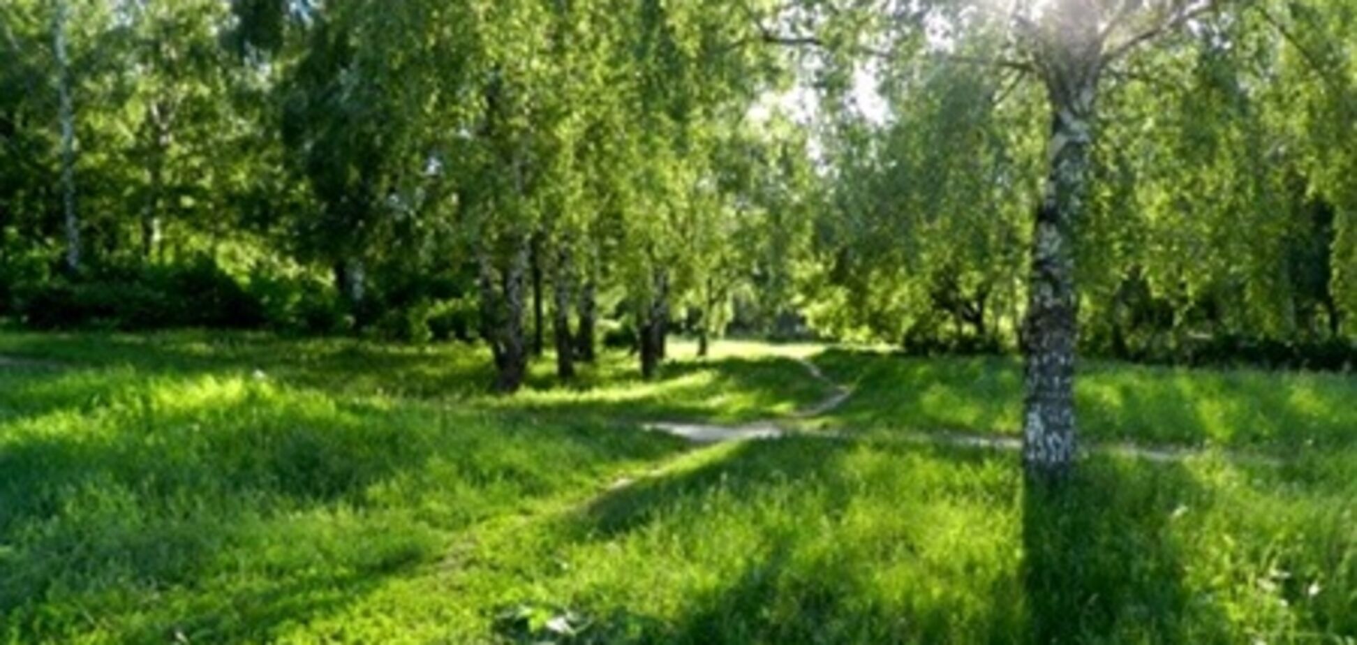 Бренд Nemiroff представил алкогольную отрасль на международной эко-выставке 'Окружающая среда 2013'