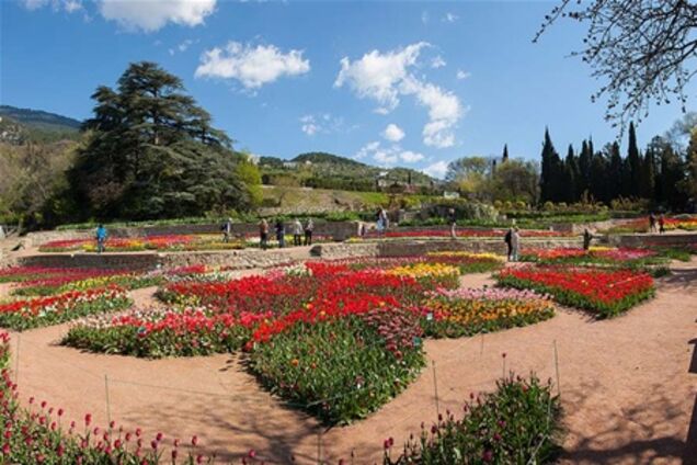 В Никитском Ботаническом саду цветут тюльпаны