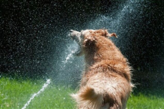 На выходные украинцам будет жарко