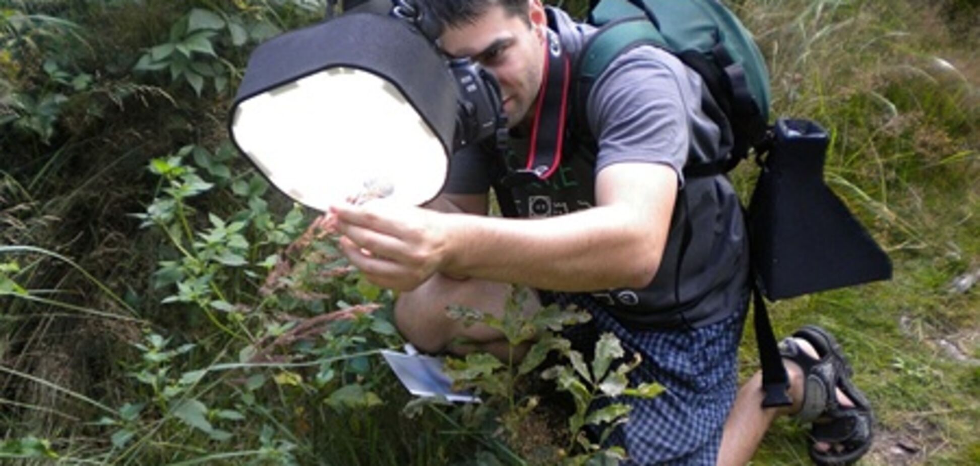 Так делаются макрофотографии