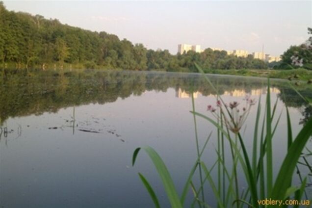 На Совских прудах проведут экоэкспертизу