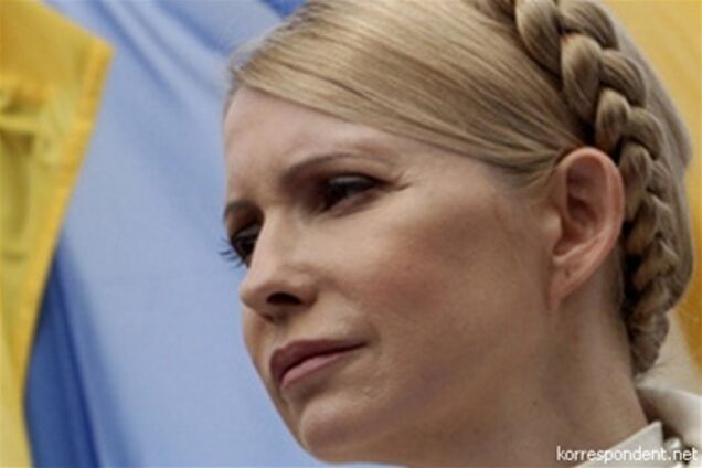 Решение о непомиловании Тимошенко было единогласным - глава комиссии