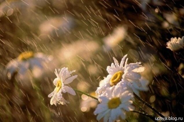 В Украину придут похолодание и дожди