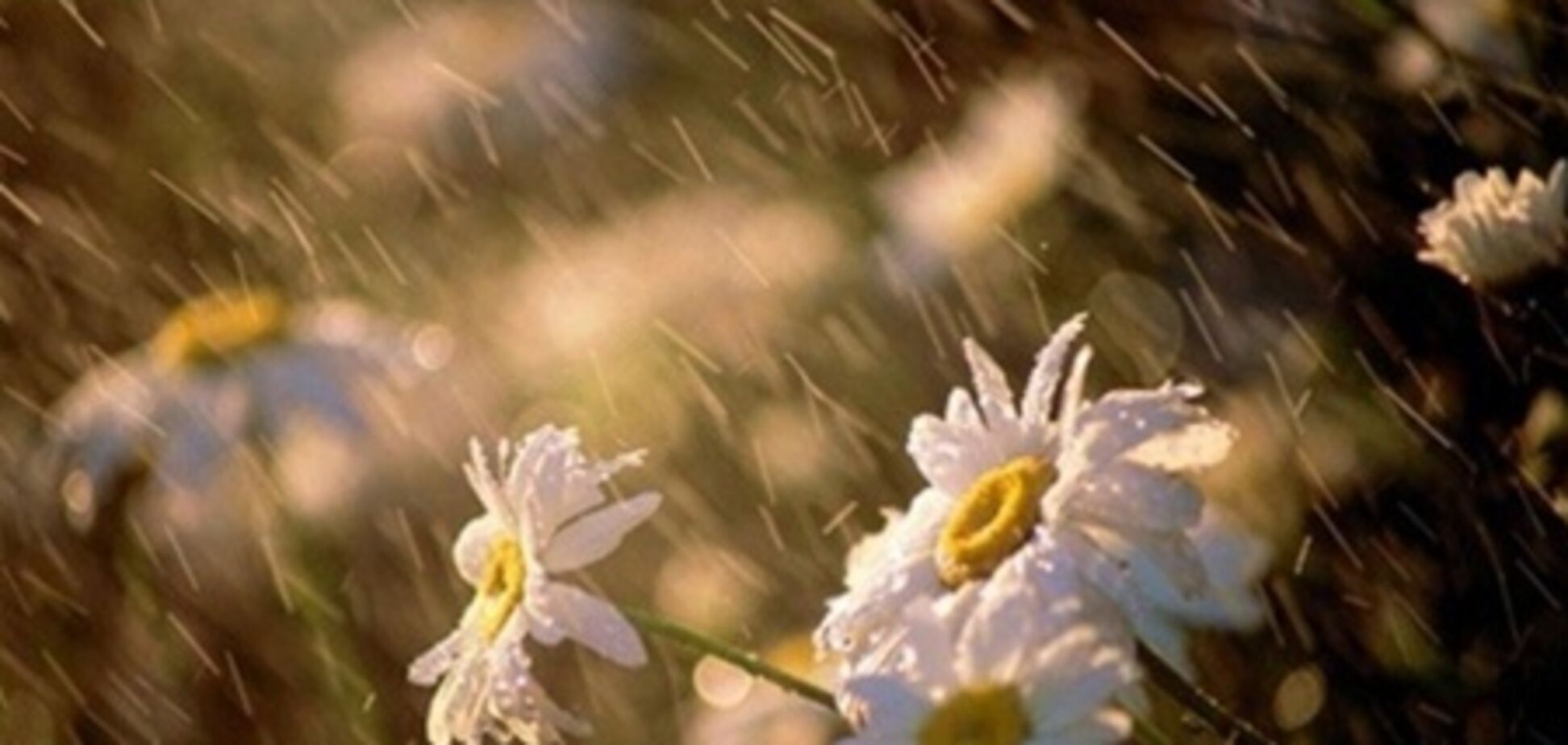 В Украину придут похолодание и дожди