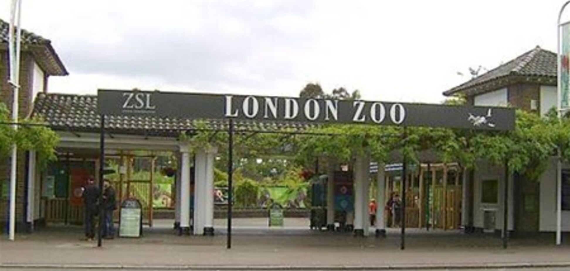 Летом лондонский зоопарк будет работать допоздна