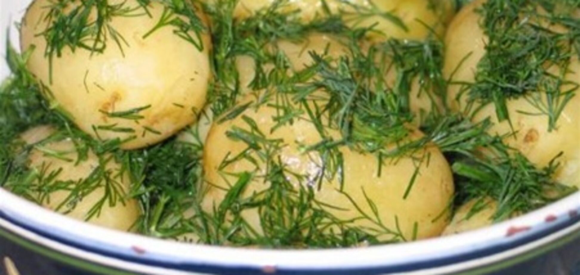 Как выбирать и хранить молодой картофель