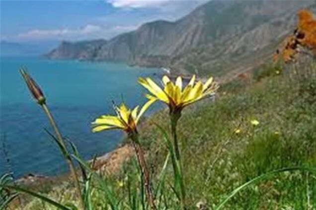 За сотку земли в Крыму - $250