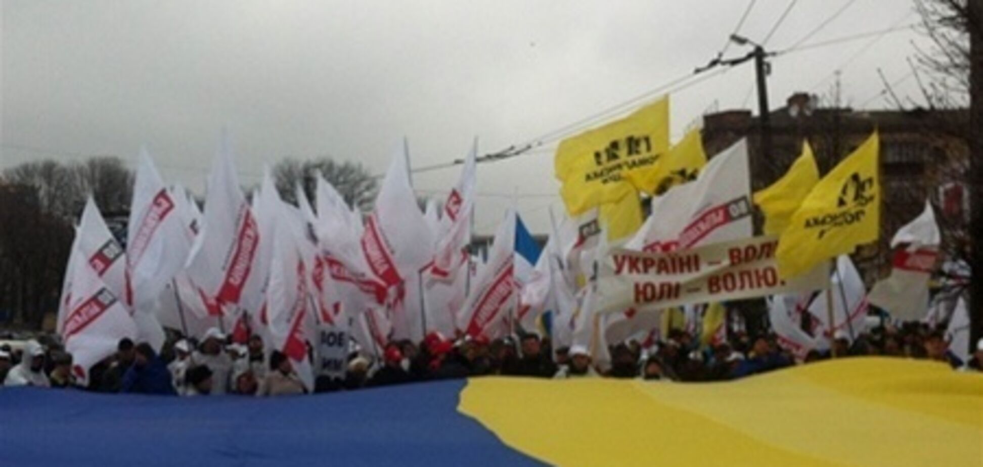 Оппозиция насчитала на акции в Житомире 10 тыс. человек