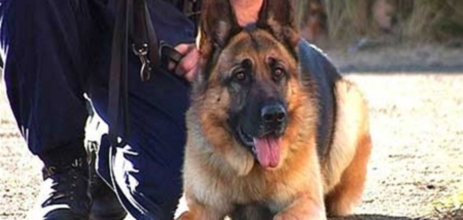 Загиблі на Львівщині молоді люди не пиячили - односельці