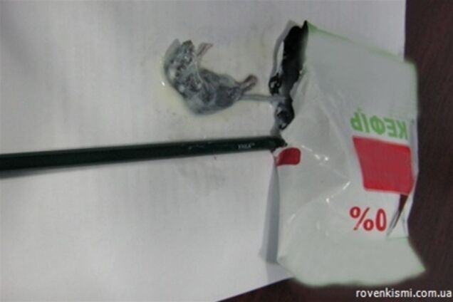 На Луганщині жінка знайшла в пакеті кефіру дохлу мишу. Фото