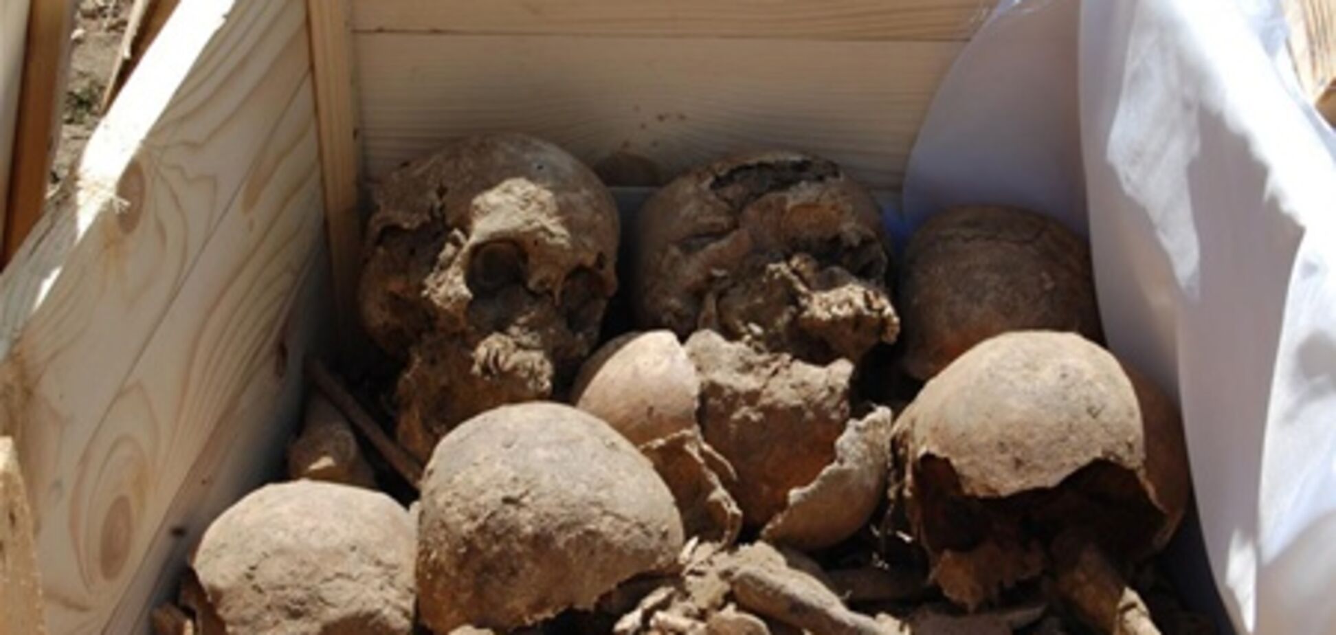 На Прикарпатье перезахоронили останки 640 жертв НКВД