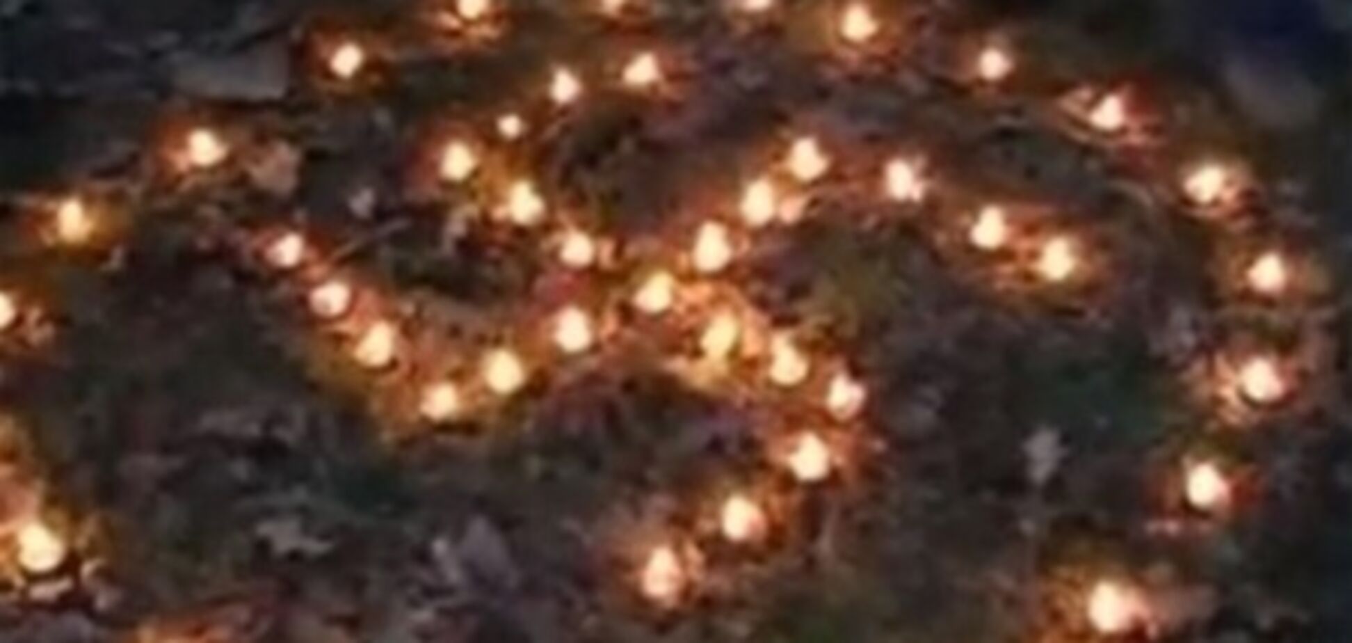 С празднованием годовщины создания СС 'Галичина' разберется ГПУ