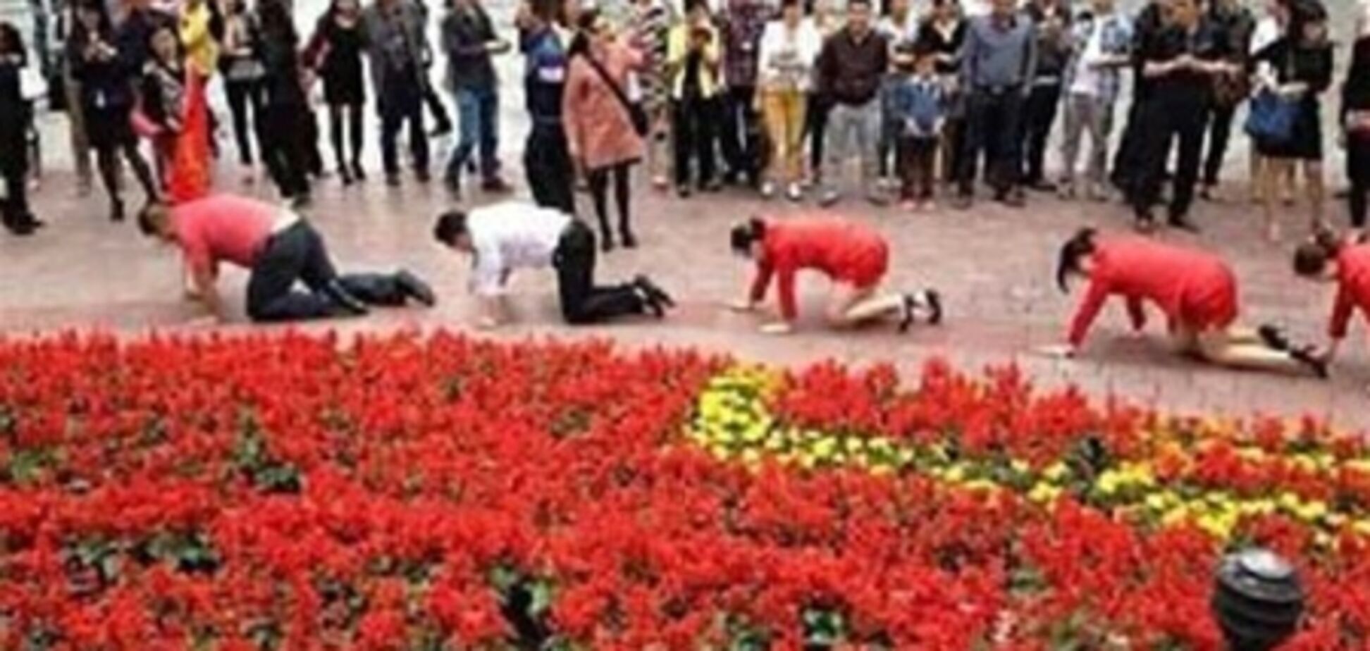 Босс заставил подчиненных ползать на коленях по улице