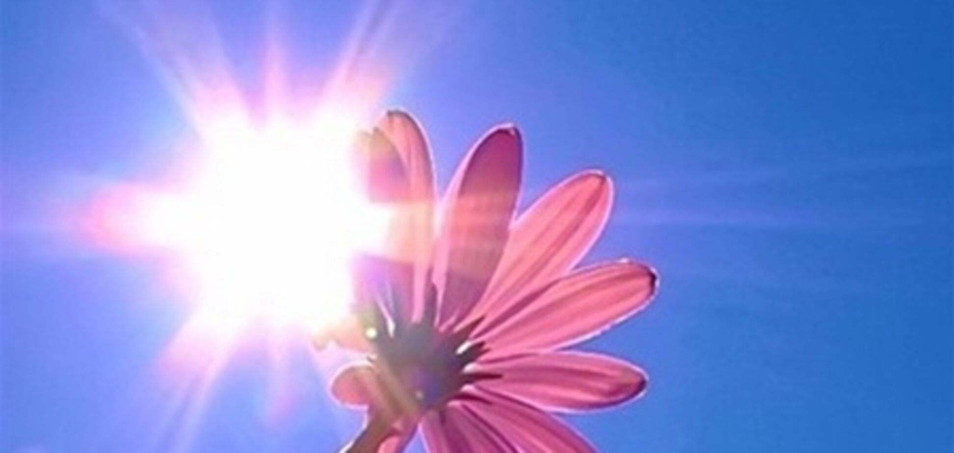 Жара в Украине немного поутихнет – Гидрометцентр