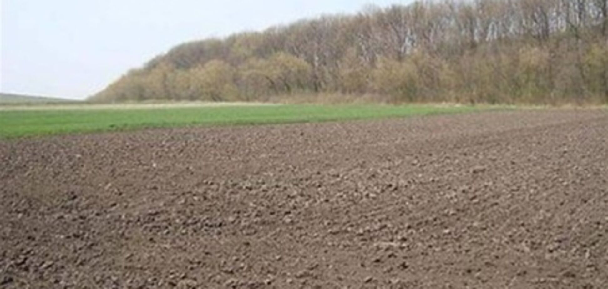 Депутаты упростили передачу государственных земель юрлицам