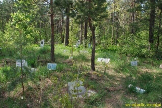 У Заполяр'ї багатодітні сім'ї отримали ділянки на кладовище тварин