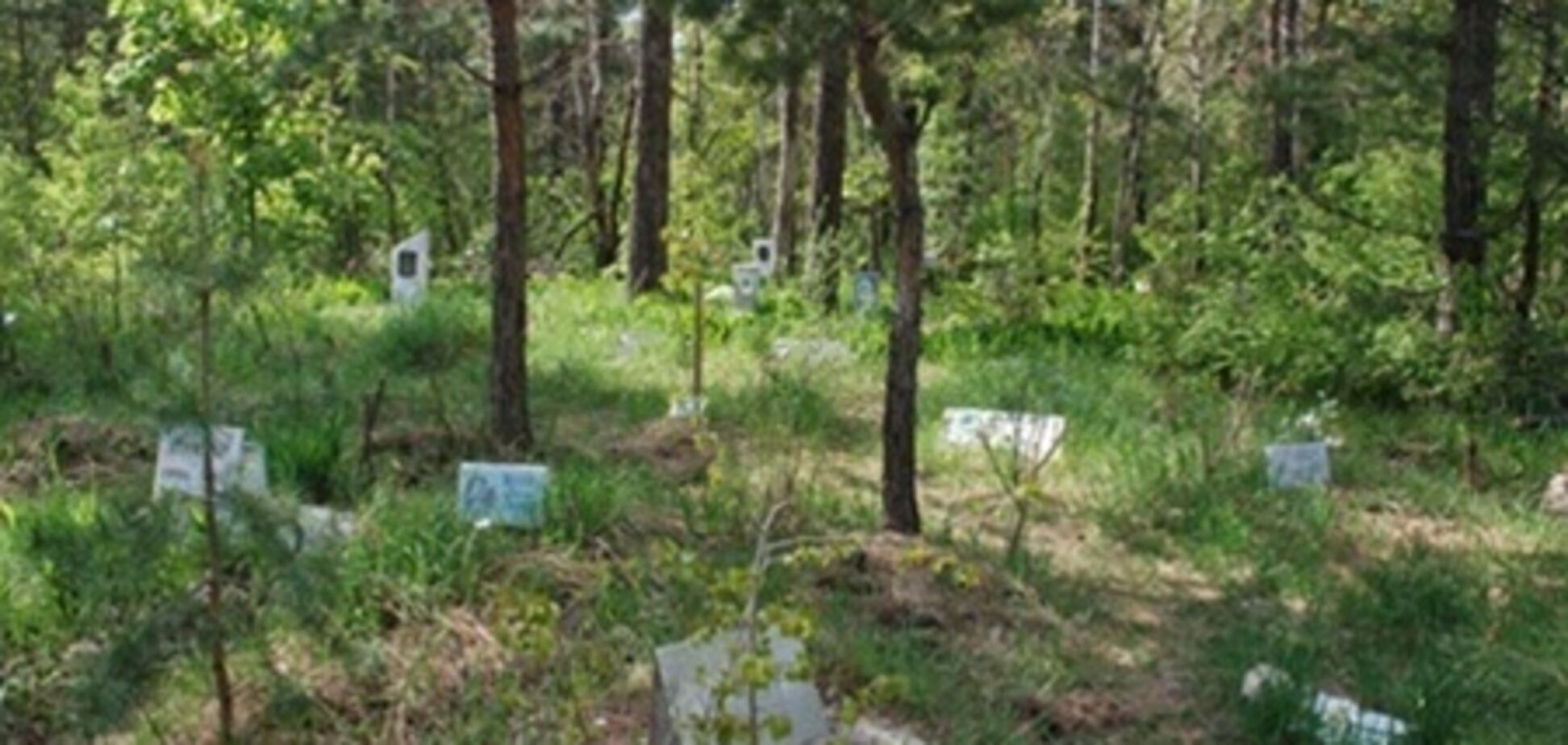 В Заполярье многодетные семьи получили участки на кладбище животных